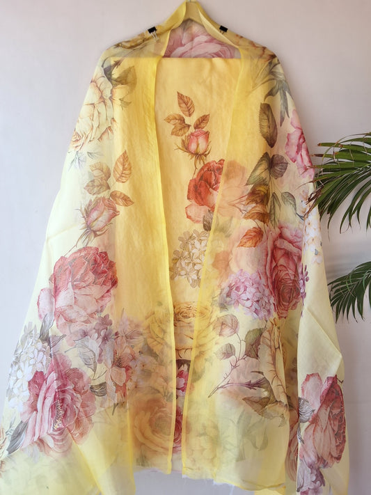 Organza Silk Suit