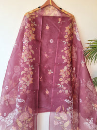 Organza Silk Suit