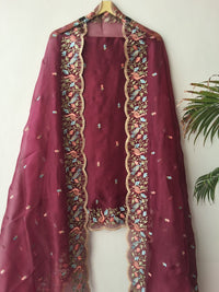 Organza Silk Suit