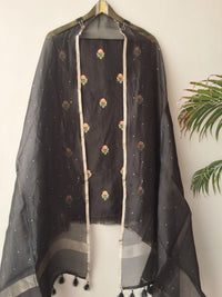 Organza Silk Suit