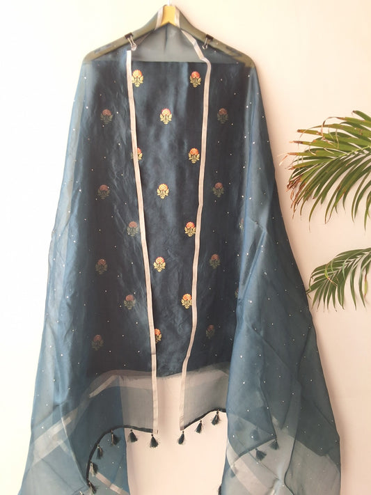 Organza Silk Suit