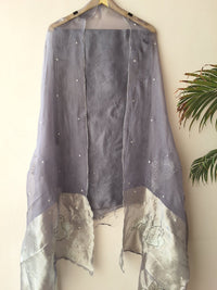 Organza Silk Suit