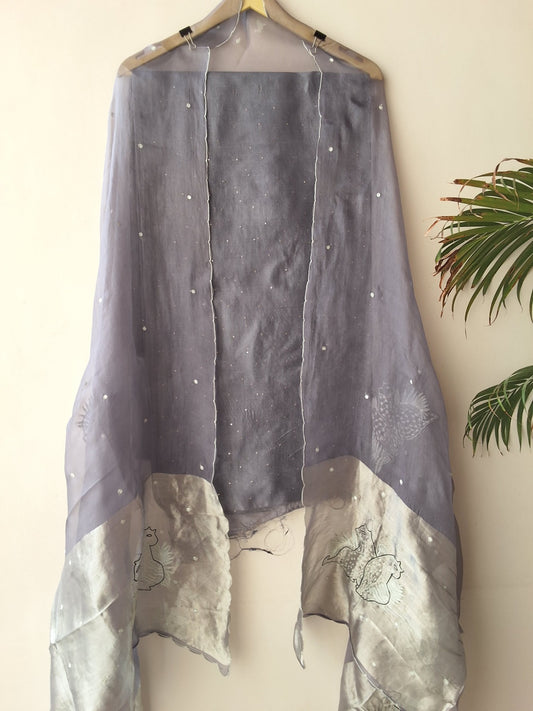 Organza Silk Suit